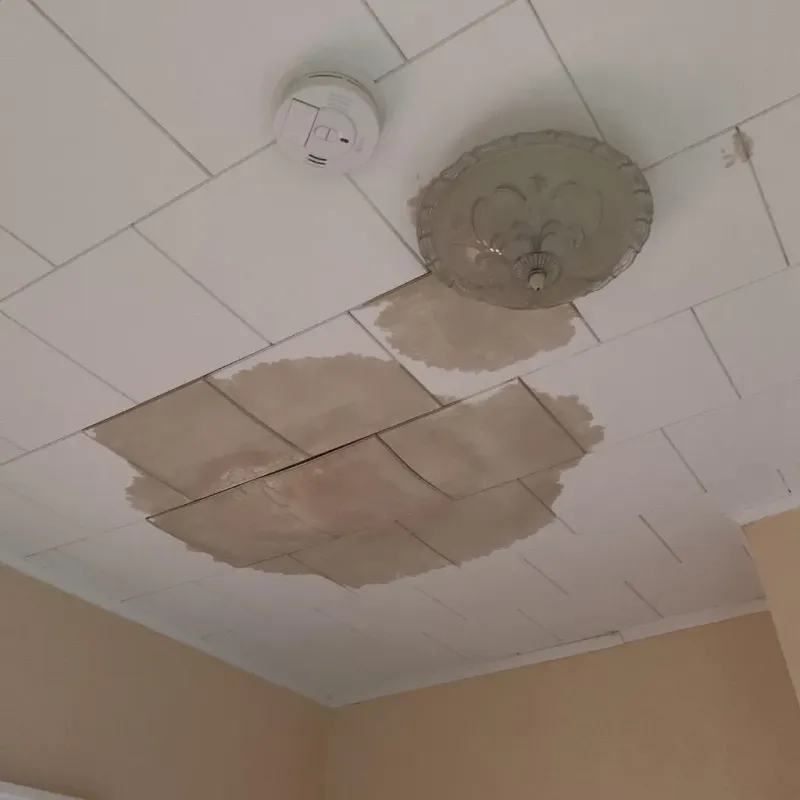 Ceiling Water Damage Repair in Lakeview, NY